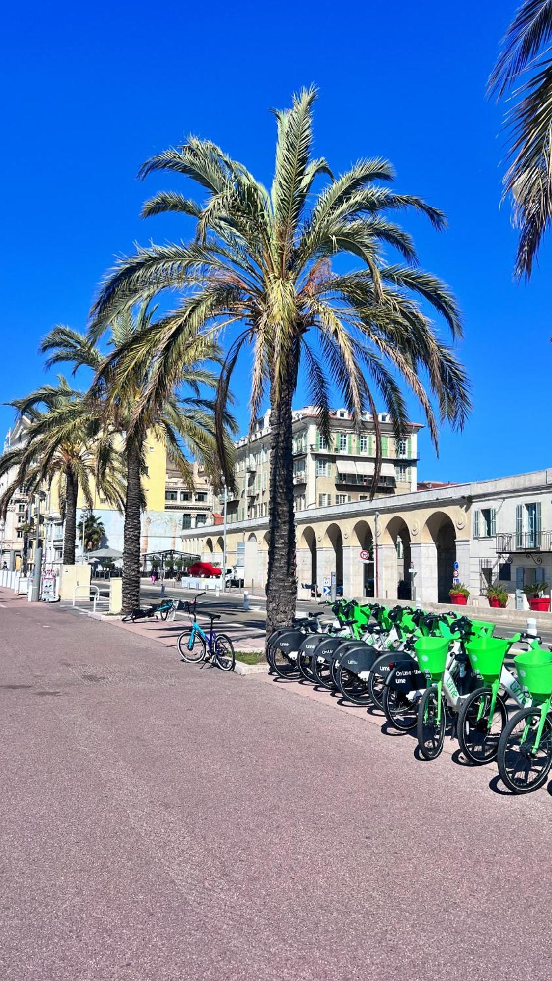 尼斯L'Azur Plaisance公寓 外观 照片